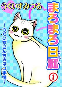 書影