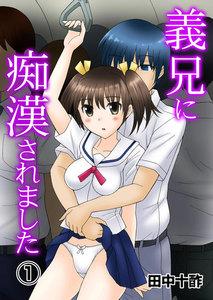 義兄に痴漢されました　1巻