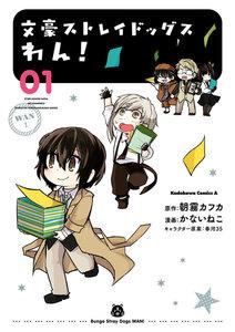 書影