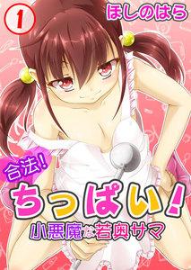 合法！ちっぱい！小悪魔な若奥サマ　1巻