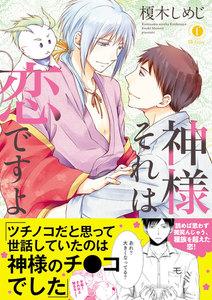 神様それは恋ですよ（合本版）【ebookjapan限定特典マンガ付】