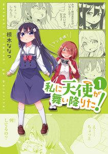 私に天使が舞い降りた!　1巻