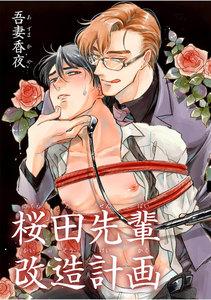 書影