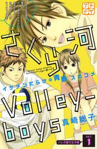 さくら河　Ｖｏｌｌｅｙ―ｂｏｙｓ　プチデザ　1巻