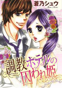 調教ホテルの囚われ姫(分冊版) 【第1話】 イケメン社長の正体