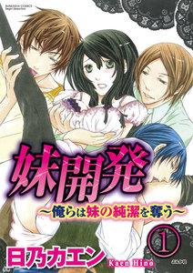 妹開発~俺らは妹の純潔を奪う~(分冊版) 【第1話】