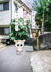 書影