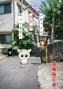 書影