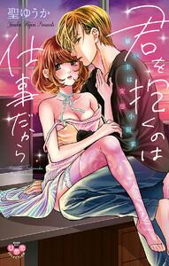 君を抱くのは仕事だから【単行本版】【電子限定おまけ付き】～雇い主は変態小説家～