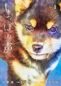 書影