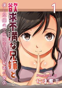 欲求不満な兄嫁と…-僕と兄嫁の兄には言えない秘密の関係-1巻