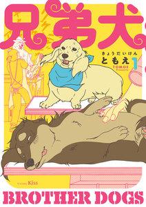 書影