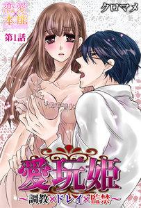 愛玩姫～調教×ドレイ×監禁～ 1