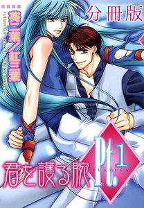 Pt.【分冊版】　君を護る腕　1巻