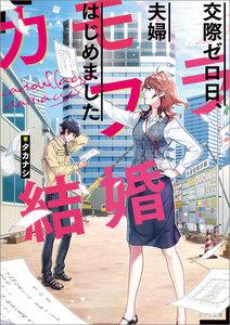 カモフラ結婚　交際ゼロ日、夫婦はじめました