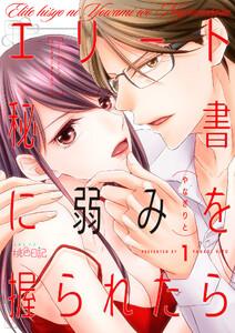 エリート秘書に弱みを握られたら　1巻