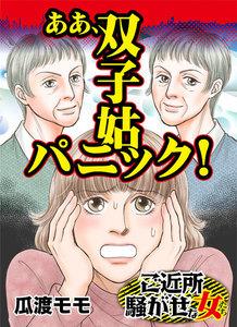 ああ、双子姑パニック！／ご近所騒がせな女たちVol.6