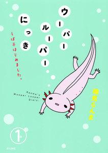 書影