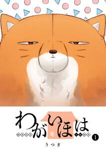 書影