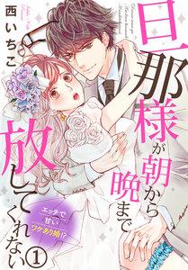 旦那様が朝から晩まで放してくれない～エッチで甘いワケあり婚!? 1巻