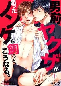 書影