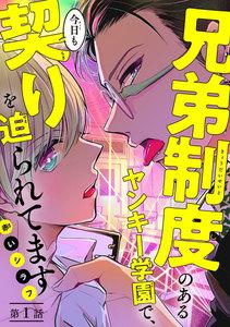 書影