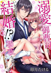 溺愛御曹司といきなり結婚!?初夜なのに…イっちゃうッ!