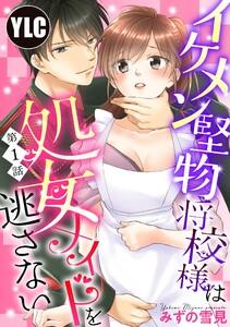 書影