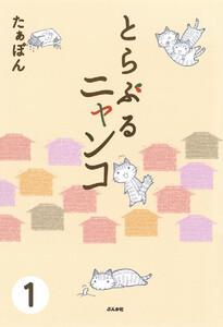 書影