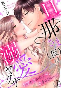 旦那さま(仮)は溺愛ヤクザ 何度も突かれて声、止まらない…! 1巻