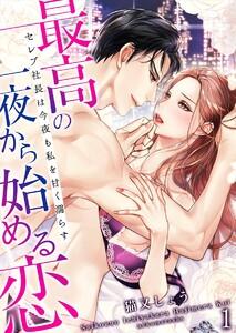 最高の一夜から始める恋～セレブ社長は今夜も私を甘く濡らす～（１）