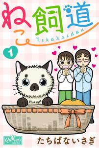 書影