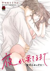 夜が果てるまで～宝石とセックス～　1巻