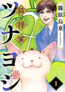 書影