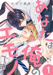 書影