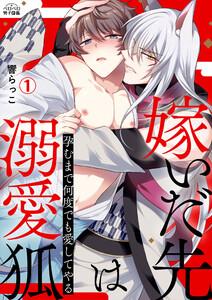 嫁いだ先は溺愛狐～孕むまで何度でも愛してやる1巻