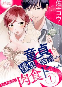 童貞優男と結婚したら、とんでもない肉食ドSでした。　1巻