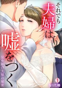 それでも夫婦は嘘をつく～見せかけ夫婦の秘密～（１）