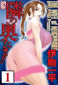 書影