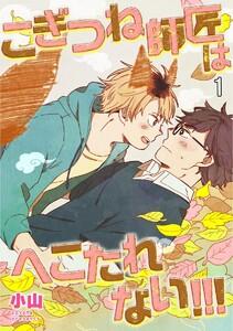 書影