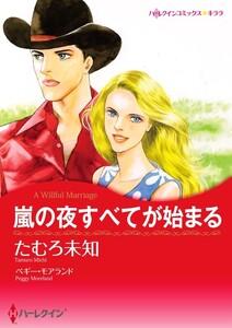 嵐の夜すべてが始まる 1話（分冊版）