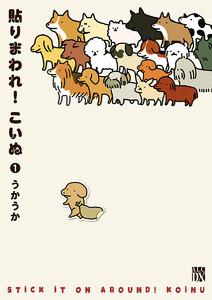 書影