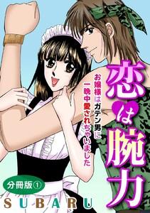 恋は腕力 お嬢様はガテン男に一晩中愛されちゃいました　分冊版　1巻