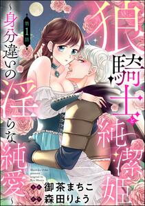 狼騎士と純潔姫 ～身分違いの淫らな純愛～（分冊版） 【第1話】