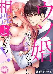 ウソ婚なのに相性よすぎッ！～旦那様（仮）はワルくて絶倫～1巻