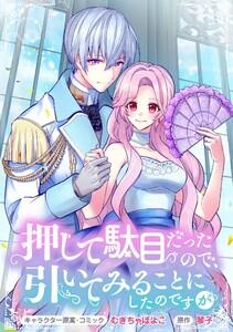 押して駄目だったので、引いてみることにしたのですが　連載版　1巻