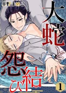 書影