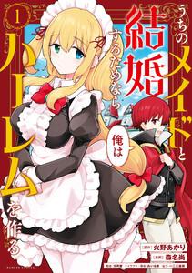 うちのメイドと結婚するためなら俺はハーレムを作る 1巻