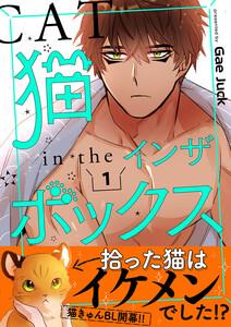 猫インザボックス【電子単行本版】　1巻