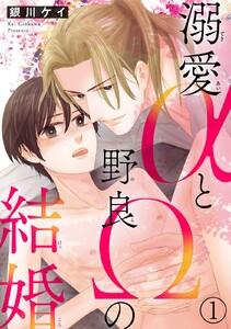 溺愛αと野良Ωの結婚　1巻